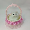 Realistic nail sequins, basket, animal model, decorations, cat