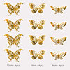 Three dimensional layout with butterfly on wall, decorations, in 3d format, Amazon