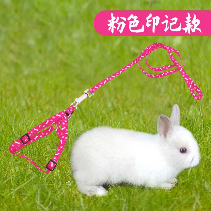 Cuerda de tracción de conejo antideslizante suministros de conejo enano anti-rotura ajustable cadena especial mascota conejo cuerda telescópica