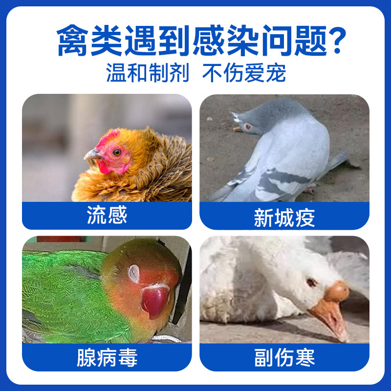 ペットの健康食品の鳥の気道の独克のオウムの八兄は鳩の胃腸の水を養殖します。|undefined