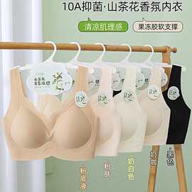 衣架包装1602#时尚固定杯山茶花果冻美背XL-3XL裸感亲肤内衣批发