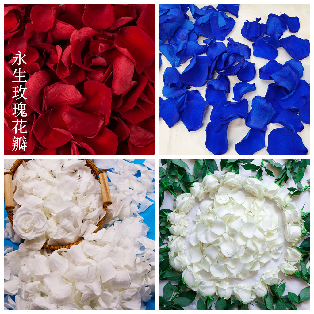 Flor inmortal pétalos de rosa flores verdaderas Día de San Valentín boda coche de boda decoración del hogar Flor inmortal DIY material al por mayor