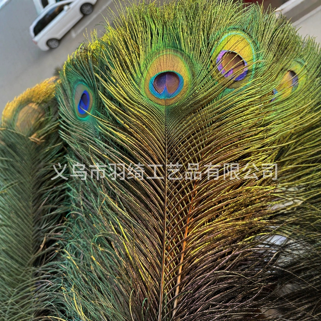 Fabricante suministro de 25 - 130cm plumas reales plumas al por mayor vasijas floral decoración de escenario plumas de pavo real