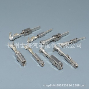 1241388-1�m�ÊW�ϴ�B����푶���J519��ᘼ��⺸���968855-1