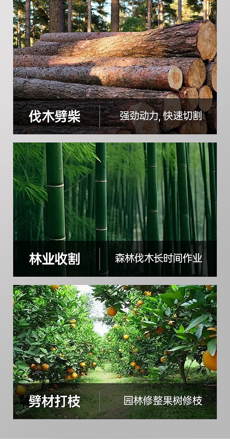 O1CN01FrPmzC1IVn7qnkeHo_!!2219794400899-0-cib.jpg?__r__=1749460902801