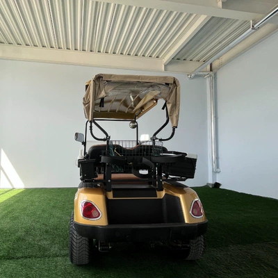 car electric patrol car battery – Elektrikli qolf avtomobilləri