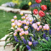 �ذ����������l ���ܺ��m������5�ȴ�N��ٺ��҃���ֲ�����Ժ��B