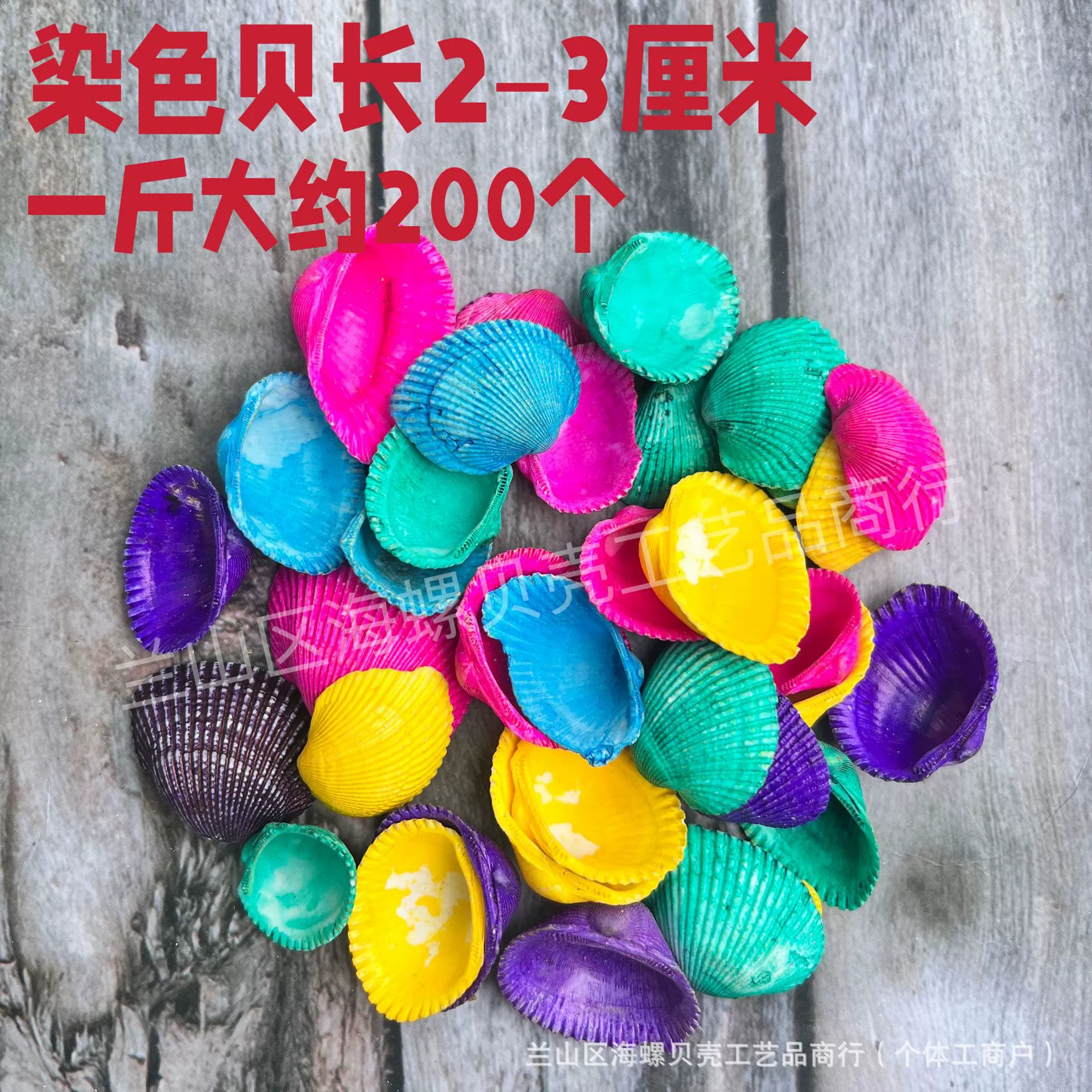 Shell Natural Shell Conch Stars Drifting Bottle Shell Crafts Wholesale Diy Handmade Shell Materials