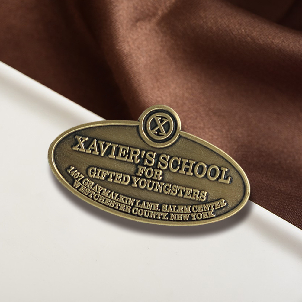 Movie X-Men Brooch Xavier Gifted Young School Badge Movie Inspired Enamel Pin Decoration