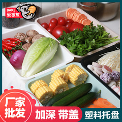 WBZ7塑料加深托盤長方形家用水果蓋子白色盤子商用幼兒園餐盤加高