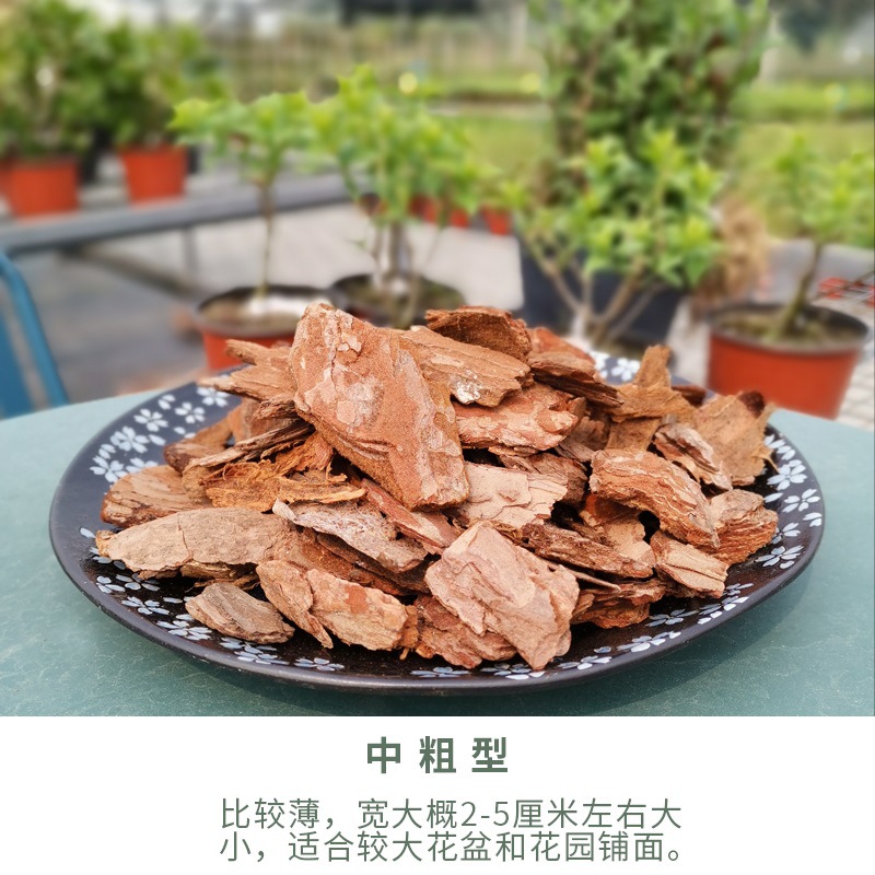 소나무 비늘껍질 중간굵기 5L (원가 19.8위안)