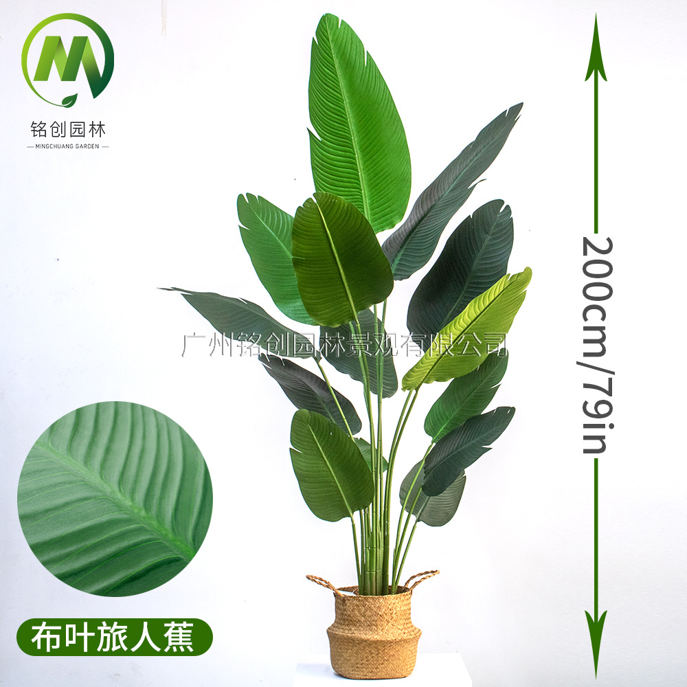Árbol de simulación transfronterizo, plátano viajero, planta en maceta, nueva planta de simulación, pájaro del paraíso, planta verde de simulación de hoja grande, plátano viajero