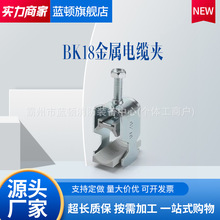 BK��|�A�C����|�������̶��A������|�A��늙��̶��A