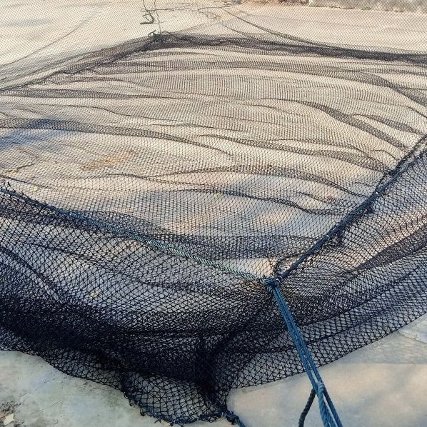 Red de pesca gruesa, malla de cría negra, malla de pesca de gran abertura, malla de pesca de peces, caja de pesca, red de transporte de nuevo tipo de tela de red