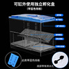 Peacock fish breeding box Fish tank Yayli isolation box extra large spawning incubation production room small fish seedlings young fish