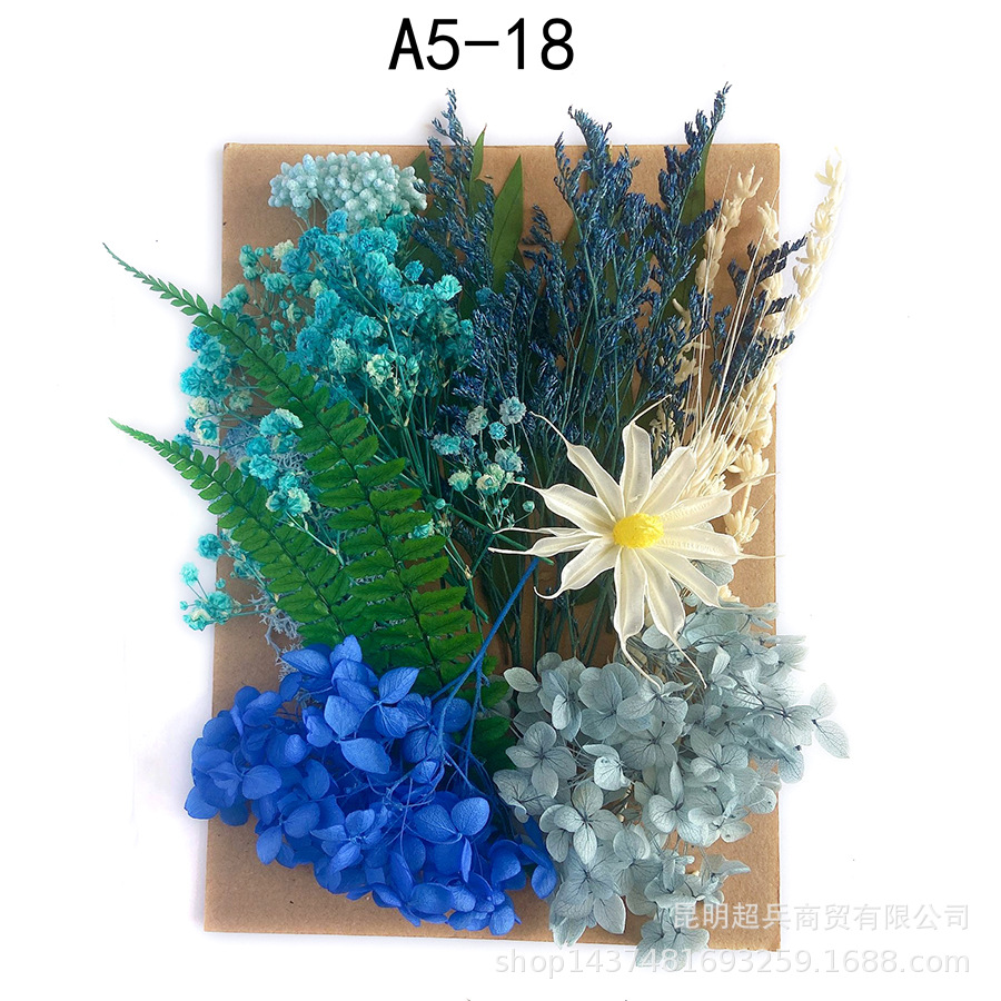 [Paquete de material de estampado A5] Flor seca flor eterna marco de fotos paquete de material de estampado DIY flor aromaterapia vela flor seca