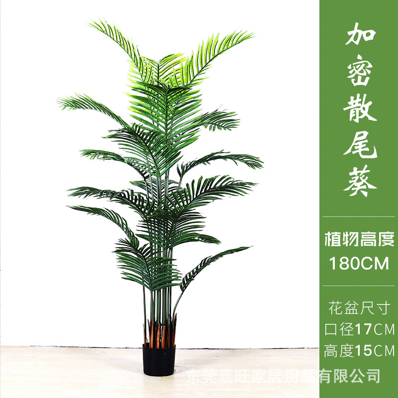北欧シミュレーション散尾葵盆栽偽植物室内貴妃緑植盆栽鳳尾客間装飾着地置物|undefined