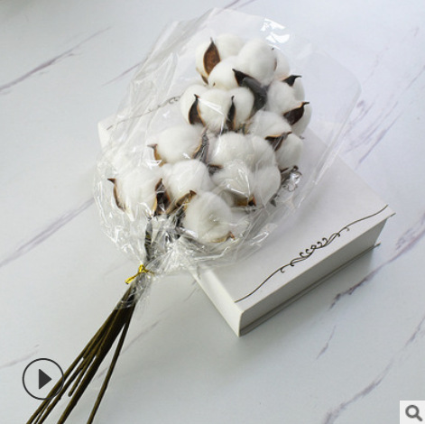 棉花（10支单头）