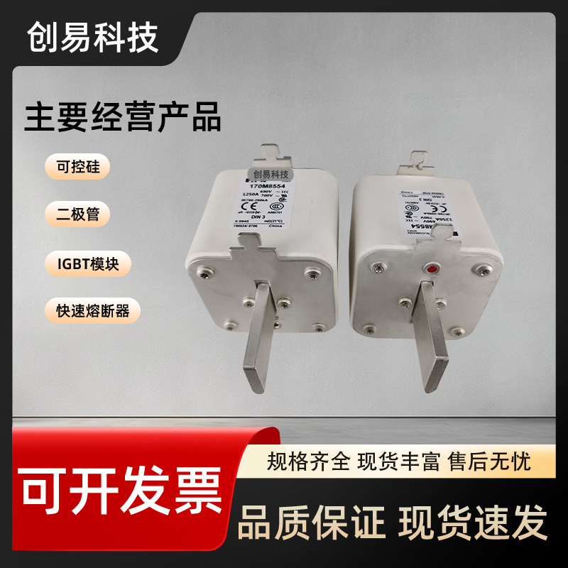 170M8531 170M8532 170M8533 170M8534 170M8535全新现货熔断器