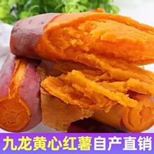 ��������ɳ�ؼt�ĬF���S�ķ������r���ĵعϰ����t��ɽ�����l