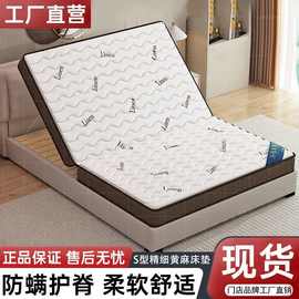 S型黄麻床垫|棕榈兼容家用宿舍护脊跨境源头工厂仓供应链外贸批发