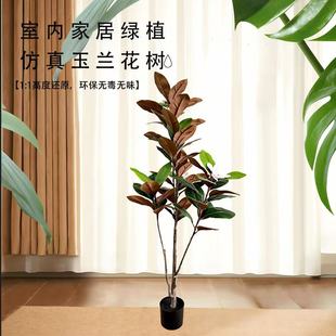 �羳���Q�¿��ָ����m���� �߼��мҾ��b���Gֲ