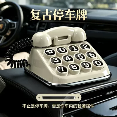 trendy car interior decoration, direct — Nömrəli dayanma kartı