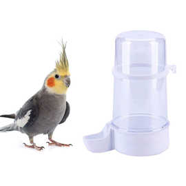 鹦鹉鸟用大号自动饮水器 喂水喂食器 食罐水杯鸟食盒鸟笼配件用品