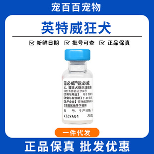 Ӣ������Ȯ�����J�������������M�ڿ�Ȯ���A���؈���Ȯ����