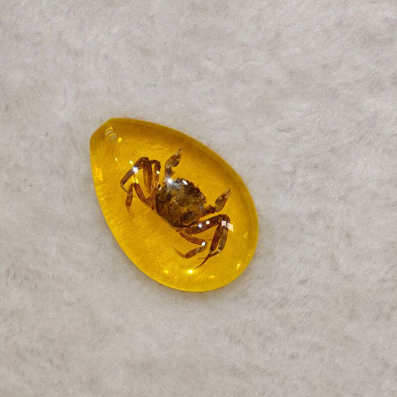厳選された昆虫琥珀標本、サソリと蝉、ブラインドボックス、子供向けギフト、教科書、学習発掘、考古学的ペンダントアクセサリー|undefined