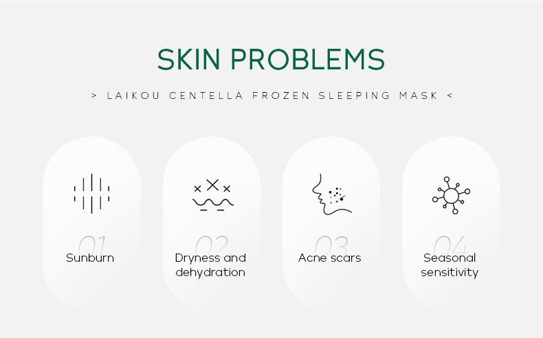 Wholesale cross-border LAIKOU Centella asiatica frozen Mask 100g application-based sleeping mask Hydrating Moisturizing Cleansing mask undefined