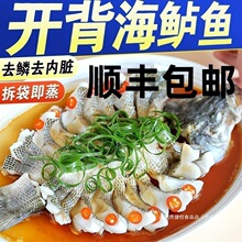 开背海鲈鱼三去七星鲈鱼鲜活冷冻大号海鲜银鱼中国大陆包装鱼排