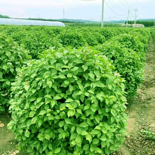 ���Ի������l�������~÷���ذ����~÷����С�^�G���@�־��^���~÷