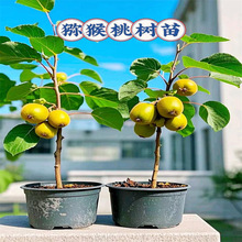 �޽ӫJ������t������ܛ���J��������Ԯ���Y���ϱ����Nֲ������