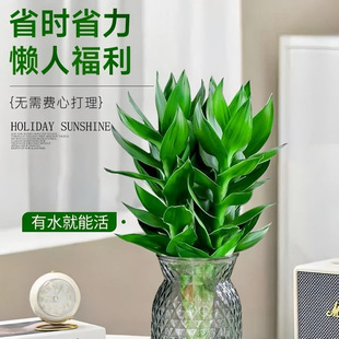 �ļ���ؔ���\��լˮ���^�����Fˮ��͏d�҃��k�����ԾGֲ����