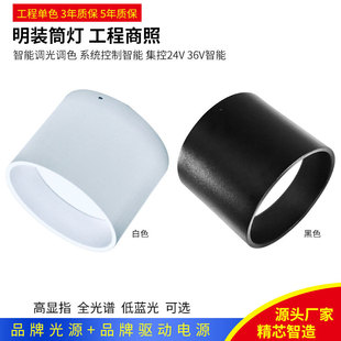 Engineering Anti-Glare Surface-Mounted Downlight Plc Intelligent 0-10Vdali Dimming Zigbee Bluetooth Mesh Centralized Control