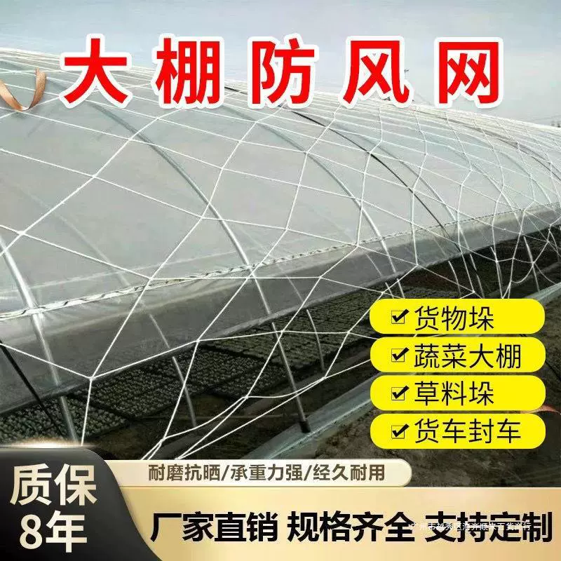 Парниковая ветрозащитная сетка защитная сетка нейлоновая сетка для посадки и разведения товаров сетка для больших отверстий напорная пленка Веревка ветровая сетка тепличная сетка