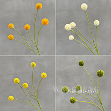 ���滨���������������ӆ�֦�L֦�廨������c��Y�bٻ�����