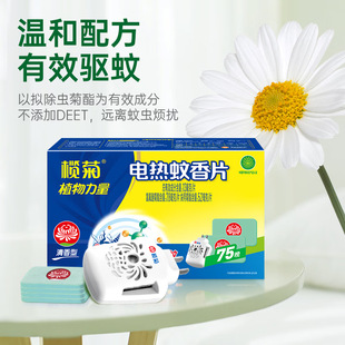 ��������Ƭ�غ���ò��̼�������1��+75Ƭ���b�a���b�҃������l