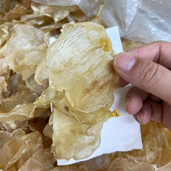 Wholesale Dried White Butterfly Jelly in Various Specifications, Clean Water, Thick Meat, No Fishy Odor, Properly Soaked, Fish Maw Milk Pudding Raw Material