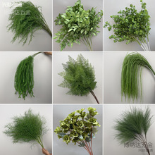 �¿��c����Gֲ���ĵ�픻���Y�廨��ˇ�J���ݽ����G�~�ٻ�����