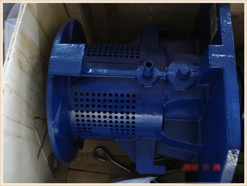 赛莱默古尔兹深井泵RJC井用潜水泵