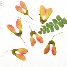 �ʘ���ɻ�diy���Ͽ羳؛Դֲ��˱��滨�����˱�Ѻ���֙C������