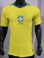 2526 player edition-brazil home