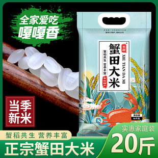 �|�����׬Fĥ�F�lз����׵�����С���5��10��20�����b