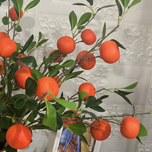 6�^���ӷ����֦ɰ�ǽ۳��������ӷ��滨���ϼٻ��҃ȼҾ��b�