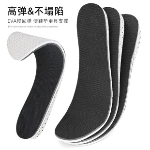 EVAȫ| ͸߉|ȫ|[΃Ь|ʽŮʽ2 3 4cm