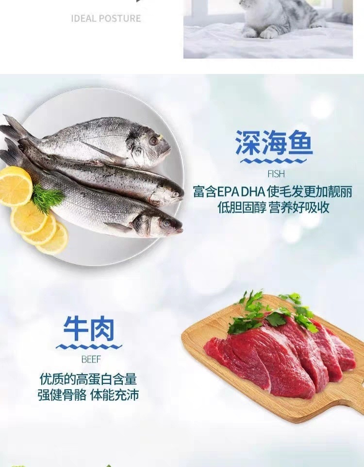 58e0e28b-a159-4924-8a13-758bda17f35e.jpe