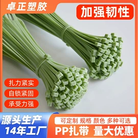 束线带;绳索、扎带;线束扎带