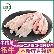 ���r��ţ���4��F��ţ��ţ�ƽ����rţ�_��ţ�s�������l��S���]